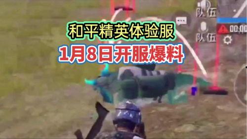 帕布鸡体验服最新爆料,神秘技能曝光，游戏玩法再升级！